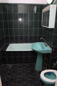 コンスタンツァにあるApartament Gabrielのバスルーム(緑のシンク、トイレ付)