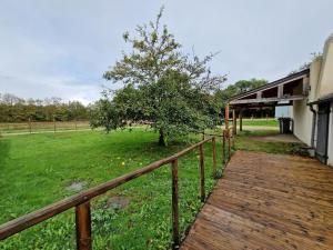a wooden walkway with a tree in a field at Au charme des bois in Plouhinec