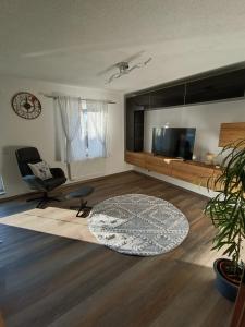 WaldershofにあるFerienwohnung AlpakasvomWeissensteinのリビングルーム(テレビ、椅子、ラグ付)