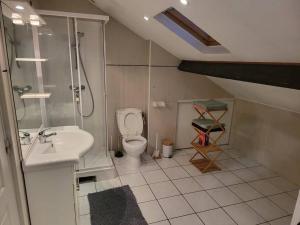 a bathroom with a toilet and a shower and a sink at Nid Douillet Proche Paris in Vitry-sur-Seine