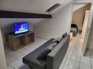a living room with a couch and a flat screen tv at Nid Douillet Proche Paris in Vitry-sur-Seine