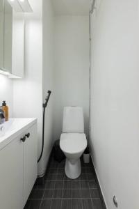 La salle de bains blanche est pourvue de toilettes et d'un lavabo. dans l'établissement Huoneisto Rovakatu 27 A7, à Rovaniemi