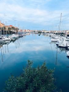Duplex sur Marinas Cap d'Agde في كاب داغد: ميناء مملوء بالكثير من القوارب في الماء