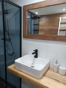 a bathroom with a white sink and a mirror at Domek Matyjówka in Ustrzyki Dolne