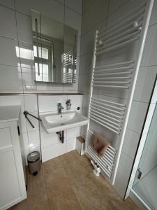 a bathroom with a sink and a mirror at Exklusives Haus, ruhig, zentral, lichtdurchflutet, im Innenhof in Karlsruhe