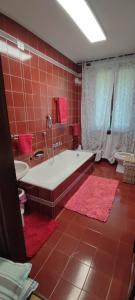 Kúpeľňa v ubytovaní La Finestra sul Lago