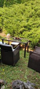 A garden outside La Finestra sul Lago