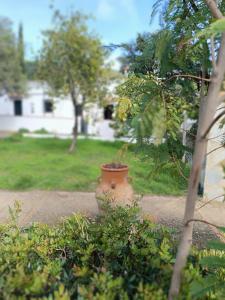 a pot sitting on the ground in a yard at Las Casitas de Higuera in Higuera de la Sierra