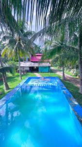 ein Swimmingpool mit Palmen vor einem Haus in der Unterkunft Rancho Los Quiñones in Leona Vicario