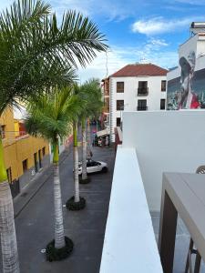 un balcón con palmeras en una calle de la ciudad en Fantástica vivienda situada el el corazón del Puerto de la Cruz en Puerto de la Cruz