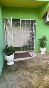 a green house with a gate and two plants at 1 Cozy Bedroom Apartment in Kingston