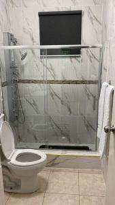 a bathroom with a glass shower with a toilet at 1 Cozy Bedroom Apartment in Kingston