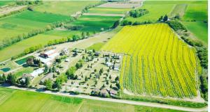 una vista aérea de un campo con cultivos en Steinrutsche, en Knüllwald