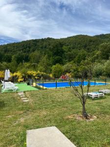 Pinto的住宿－Cabañas Rukaparra，庭院中树木的游泳池的景色