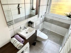 a bathroom with a sink and a toilet and a mirror at Apartment Brno- BBQ terrace in Husovice