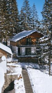 una casa en la nieve con un camino que conduce a ella en Gogodz Chalet Resort, en Yablunytsya
