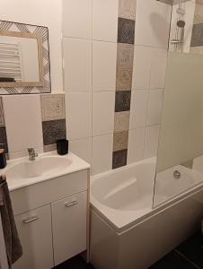 Châtillon-la-Palud的住宿－Le Gîte du haut，浴室配有盥洗盆、浴缸和镜子
