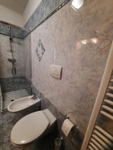 a bathroom with a toilet and a shower at Appartamento Torrefranca in Trento