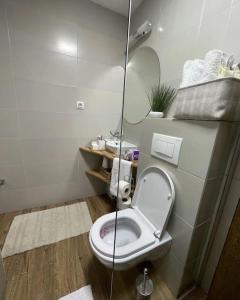 Koupelna v ubytování Apartman Element