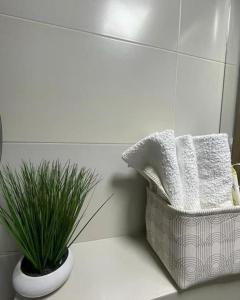 biała łazienka z rośliną w koszu w obiekcie Apartman Element w mieście Kruševac