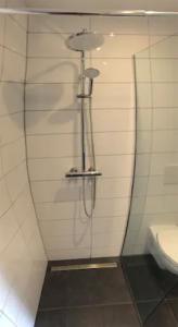 a shower in a bathroom with a toilet at Kleines gemütliches Studio 1 in Moselnähe in Zeltingen-Rachtig