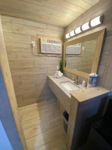 a bathroom with a sink and a mirror at American Inn in Pensacola +1 photo