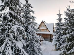 Dom Kościelisko om vinteren + 15 billeder