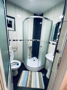 a small bathroom with a shower and a toilet at Cabana Loredana in Vadu Moţilor