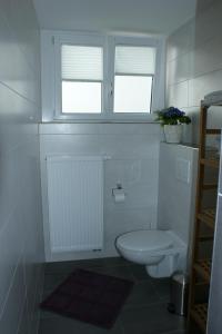 baño blanco con aseo y 2 ventanas en Ferienwohnungen Hollerberg Wohnung 1, en Regen