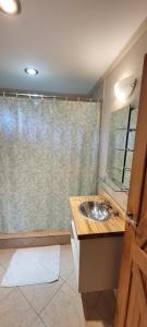 y baño con lavabo y ducha. en El Retamo en San Carlos de Bariloche