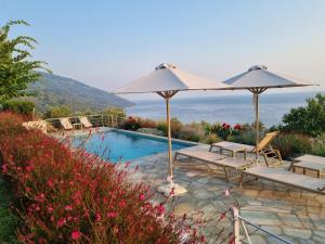 a swimming pool with two umbrellas and a swimming poolvisor at Moses Villa in Chorefto