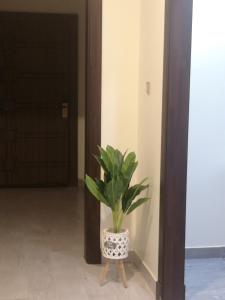 a plant sitting on a wooden stand in a hallway at هلتون بلو in Makkah