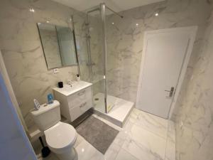 La salle de bains est pourvue d'une douche, de toilettes et d'un lavabo. dans l'établissement Maison individuelle atypique sur 2 étages, à Bar-sur-Aube