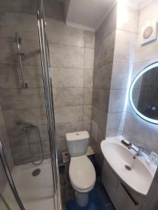 uma casa de banho com um WC, um lavatório e um chuveiro em Светлые апартаменты- Афины em Almaty