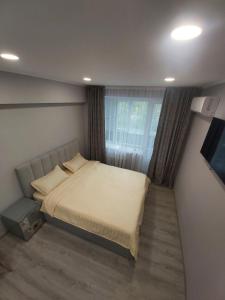 a bedroom with a large bed and a television at Светлые апартаменты- Афины in Almaty
