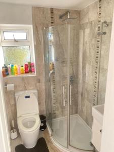 a bathroom with a toilet and a shower at Watford cottage holiday house in Abbots Langley