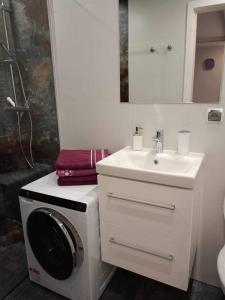 a bathroom with a washing machine and a sink at LesnApart in Hel