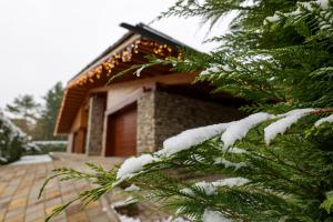 a snow covered tree in front of a house at Villa Katerina Deluxe - Pirin Golf and Country Club in Bansko