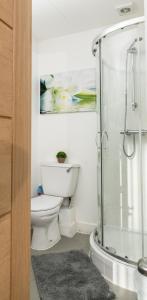 a bathroom with a toilet and a glass shower at Cozy Studio Flat for Rent in Preston