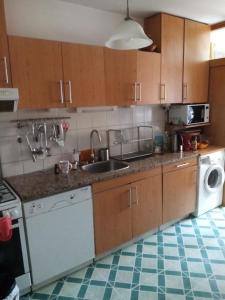 eine Küche mit einer Spüle und einer Waschmaschine in der Unterkunft Obývací pokoj pro 1 či 2 hosty v soukromí in Prag