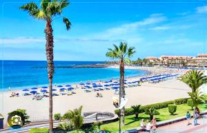 una spiaggia con palme e l'oceano di Mara apartment with beautyful oceanview a Playa de las Americas