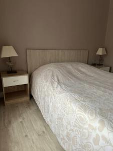 1 dormitorio con 1 cama y 2 mesitas de noche con lámparas en Appartement Cosy, en Lamorlaye