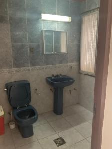 W łazience znajduje się niebieska toaleta i umywalka. w obiekcie White House - Casa de interacción. w mieście Sucre