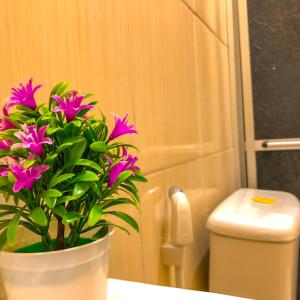 a potted plant sitting on a counter next to a toilet at Pousada Casa do Ivo Alter do Chão in Alter do Chao