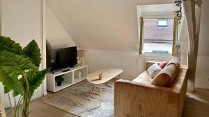ein Wohnzimmer mit einem Sofa und einem TV in der Unterkunft Le refuge de velours in Nevers