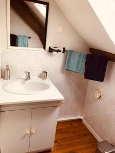 a bathroom with a sink and a mirror at Chambres d'Hôtes Bastia et Bonifacio in Retiers +34 photos