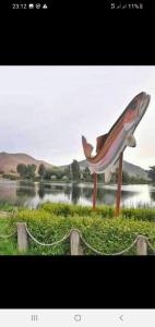 a chair sitting in the grass near a body of water at DAR MIMONA 