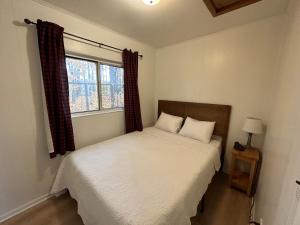 a bedroom with a bed and a window at Hidden Haven Cottages in Lake City