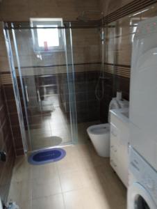 a small bathroom with a shower and a toilet at Vila Mihajlovic in Brus