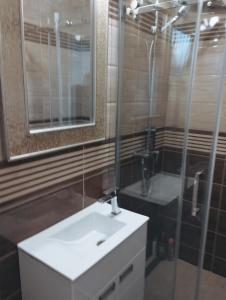 a bathroom with a sink and a mirror and a shower at Vila Mihajlovic in Brus